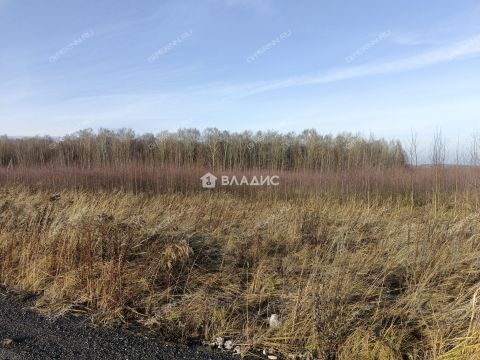 territoriya-zavetnye-istoki-bogorodskiy-municipalnyy-okrug фото