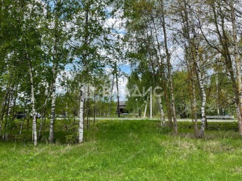 selo-ostankino-gorodskoy-okrug-bor фото