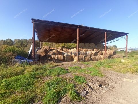 selo-redkino-gorodskoy-okrug-bor фото