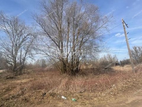 poselok-centralnyy-bogorodskiy-municipalnyy-okrug фото