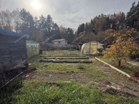 dacha-derevnya-rekshino-gorodskoy-okrug-bor фото