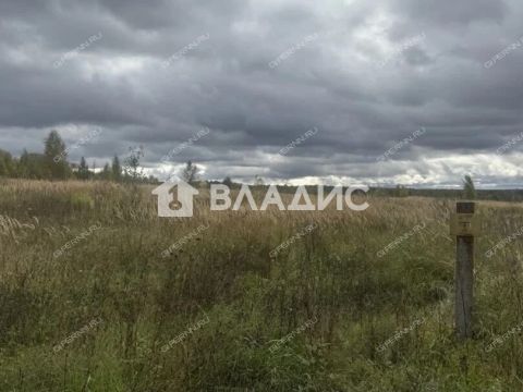 selo-afanasevo-bogorodskiy-municipalnyy-okrug фото