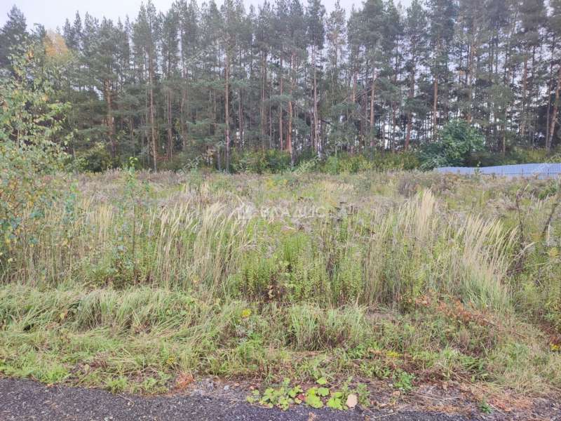 земельный участок 7,29 сотки улица Саврасова село Каменки