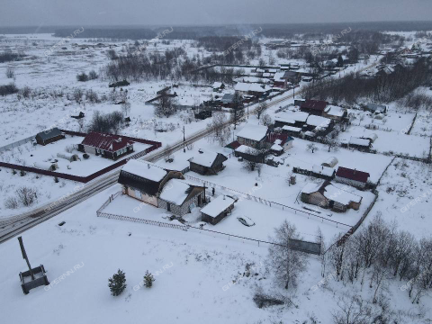 selo-ivanovskoe-gorodskoy-okrug-bor фото