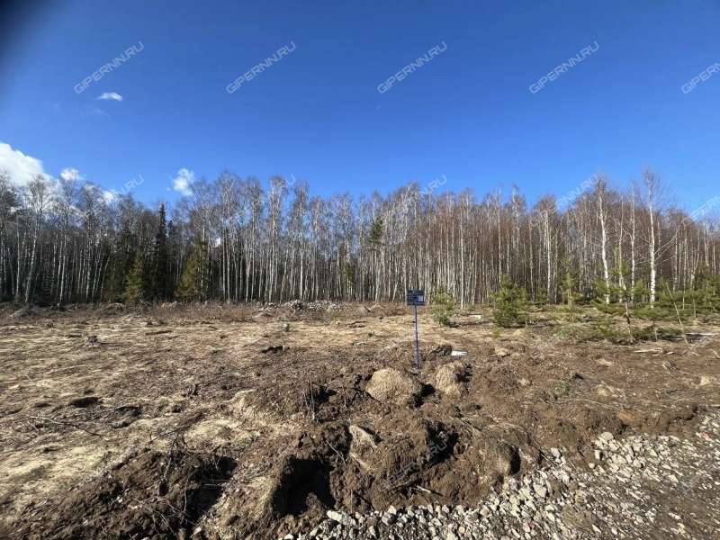 земельный участок под сельхоз назначение в Городецком районе Нижегородской области