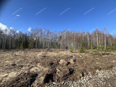 derevnya-soboliha-gorodeckiy-rayon фото