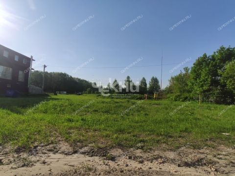 derevnya-maloe-chuhovo-gorodskoy-okrug-chkalovsk фото