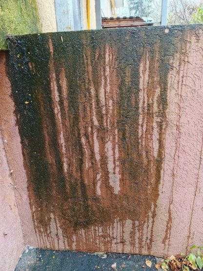 Фото: Галина Р. / vk.com