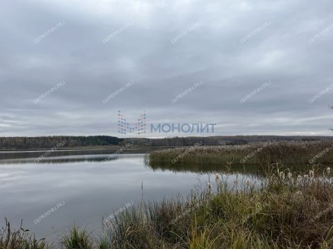 dom-derevnya-inyutino-bogorodskiy-municipalnyy-okrug фото