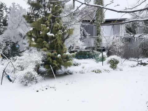 dacha-gorod-dzerzhinsk-gorodskoy-okrug-dzerzhinsk фото