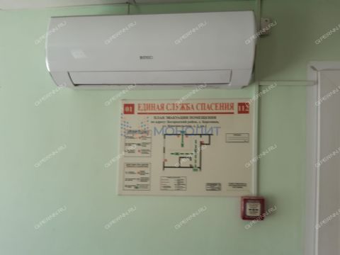 derevnya-berezovka-bogorodskiy-municipalnyy-okrug фото