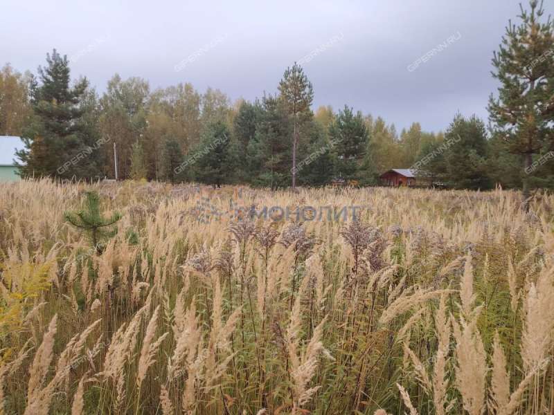 земельный участок 12,25 сотки деревня Бушнёво