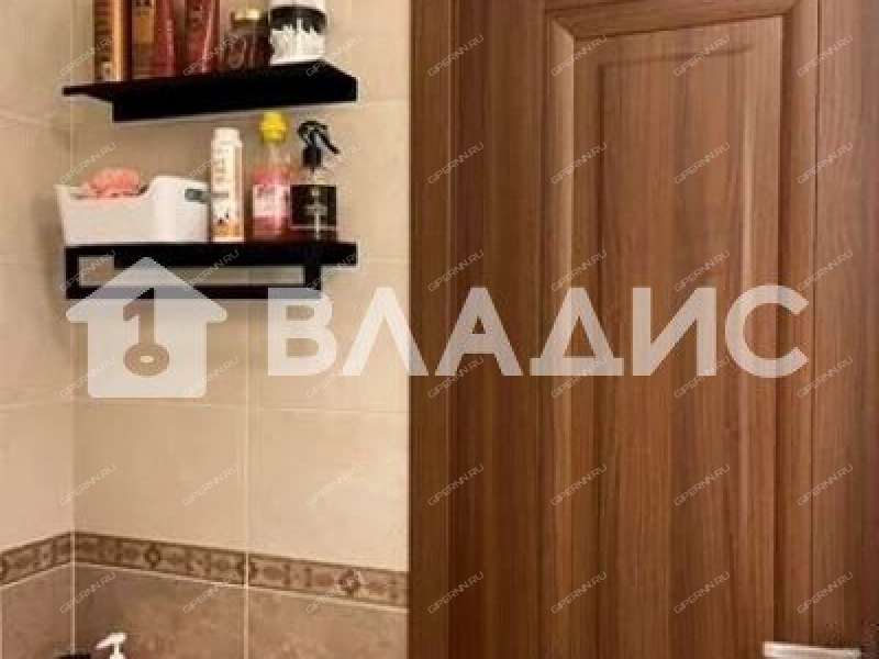 однокомнатная квартира на Русской улице улице дом 5 деревня Анкудиновка