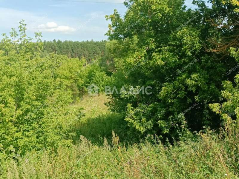 земельный участок 22 сотки Забайкальская улица рабочий посёлок Шатки