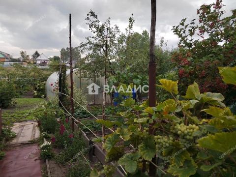 dom-selo-vyazovka-kstovskiy-rayon фото