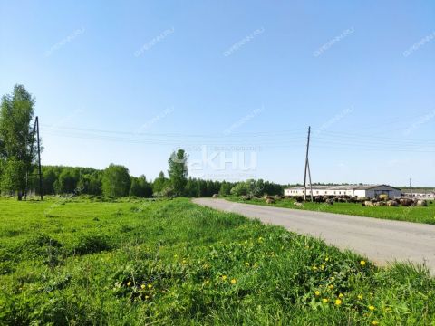 derevnya-mednikovo-gorodskoy-okrug-chkalovsk фото