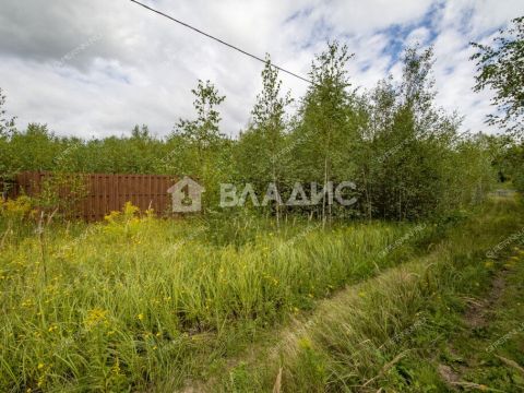 selo-spirino-bogorodskiy-municipalnyy-okrug фото