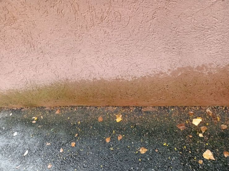 Фото: Галина Р. / vk.com