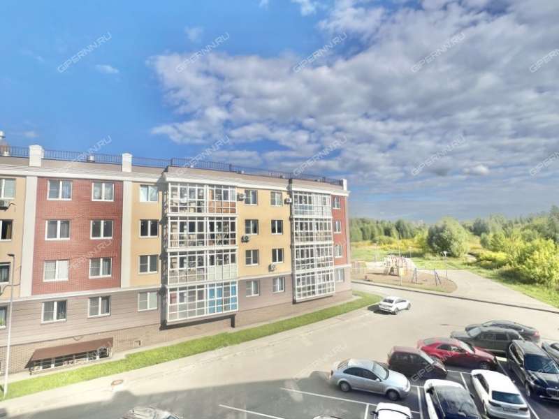 трёхкомнатная квартира в 6-м микрорайоне дом 36 город Кстово