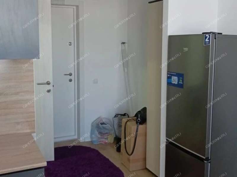 квартира-студия на улице Небесная дом 3 деревня Утечино