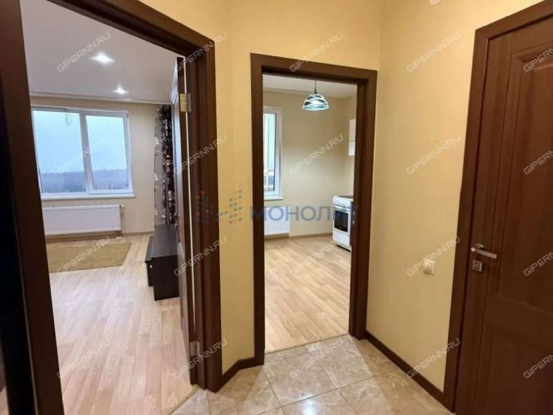 однокомнатная квартира на Русской улице улице дом 4 деревня Анкудиновка