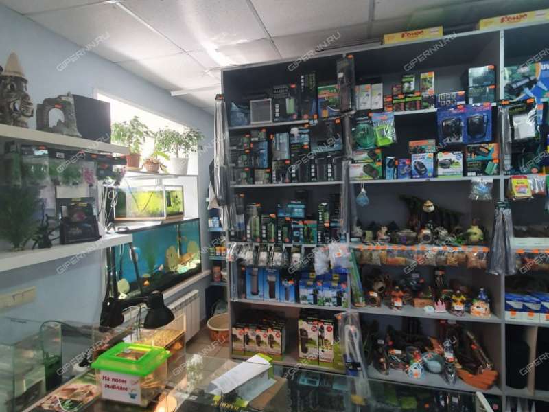 помещение под помещение свободного назначения на Театральной улице город Кстово