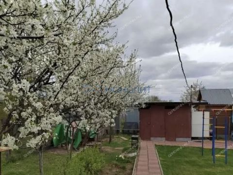 dacha-derevnya-novaya-puner-kstovskiy-rayon фото
