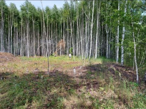 derevnya-hmelevaya-polyana-dalnekonstantinovskiy-rayon фото