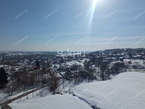 1-komnatnaya-derevnya-afonino-kstovskiy-rayon фото