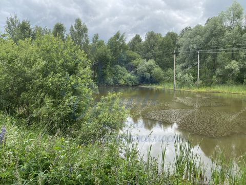 dom-selo-muraviha-dalnekonstantinovskiy-rayon фото