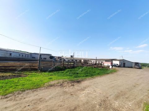 derevnya-mednikovo-gorodskoy-okrug-chkalovsk фото