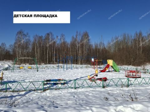 dom-derevnya-polom-semenovskiy-gorodskoy-okrug фото