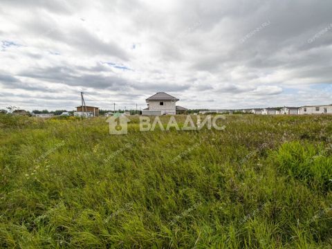 derevnya-prudy-bogorodskiy-municipalnyy-okrug фото