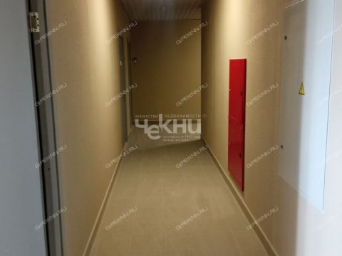 1-komnatnaya-derevnya-afonino-kstovskiy-rayon фото