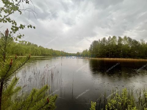 3-komnatnaya-poselok-kerzhenec-gorodskoy-okrug-bor фото