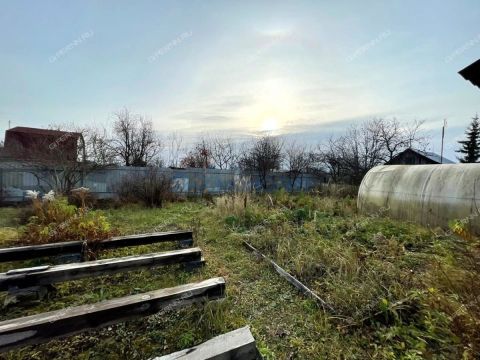 dacha-elhovka-derevnya-kremenki-ter-snt-dalnekonstantinovskiy-rayon фото