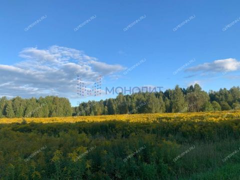 derevnya-shvariha-bogorodskiy-municipalnyy-okrug фото