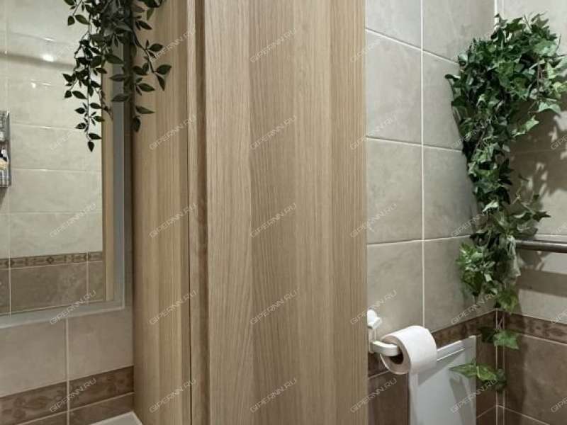 двухкомнатная квартира на Русской улице улице дом 7 деревня Анкудиновка