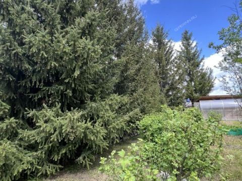 dacha-derevnya-yulovka-dalnekonstantinovskiy-rayon фото
