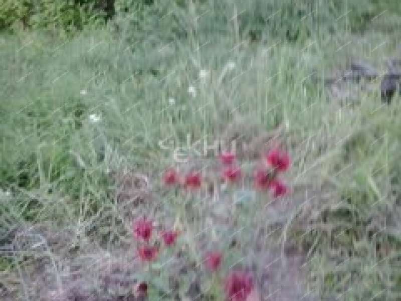 земельный участок 7,5 сотки деревня Семенищи