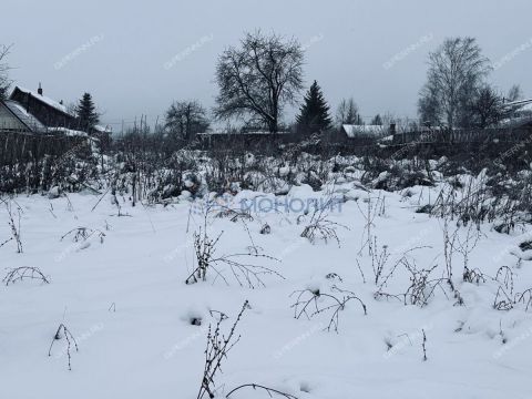 derevnya-burcevo-bogorodskiy-municipalnyy-okrug фото