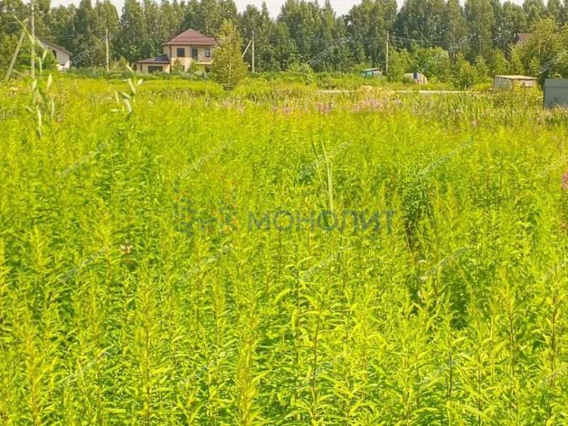 земельный участок 10 соток ДНП Возрождение деревня Золотово