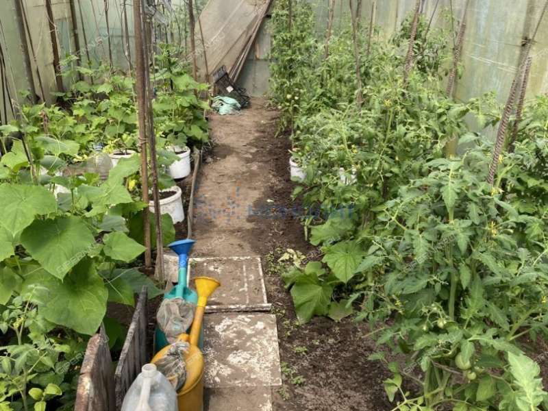 земельный участок 8 соток Шушенская улица