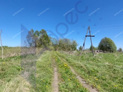 derevnya-berezovo-sokolskiy-gorodskoy-okrug фото