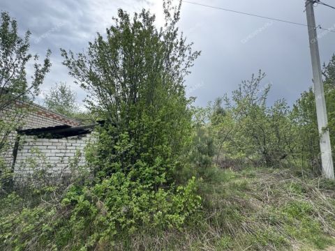 gorod-bor-gorodskoy-okrug-bor фото