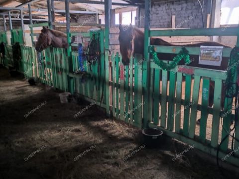 derevnya-chaglava-kstovskiy-rayon фото