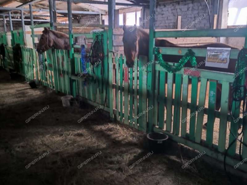 помещение под помещение свободного назначения на  деревня Чаглава