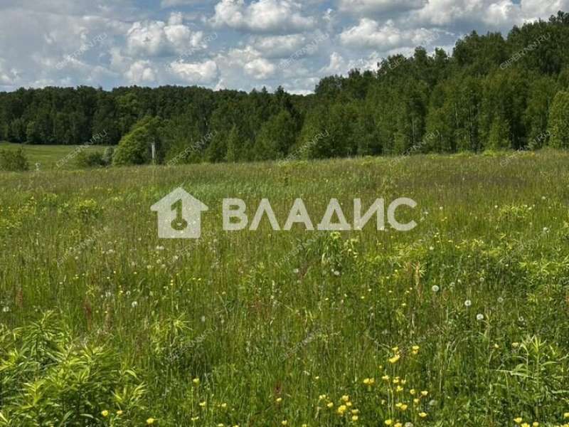 земельный участок 15 соток 80 деревня Старые Ключищи