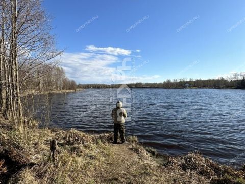 derevnya-kudrino-sokolskiy-gorodskoy-okrug фото