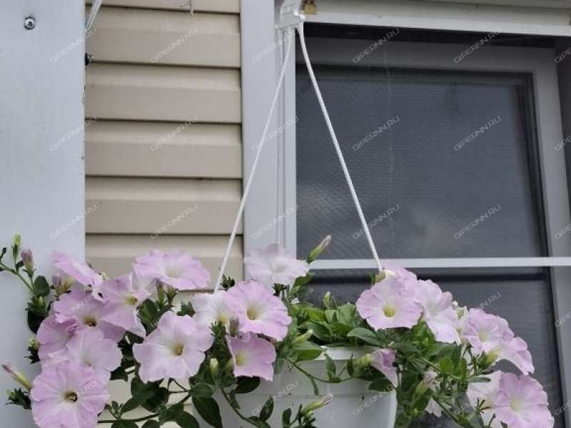 1/2 дома на Новошкольной улице